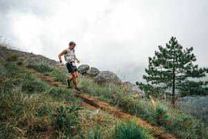 BIB: 
                            <button type="button" onclick="openModal(26019654)" class="btn btn-primary btn-sm float-right btn-popup" data-toggle="modal" data-target=".modal-high-quality">
                        <i class="fas fa-shopping-cart"></i> Add to Cart
                    </button>
                                            <button type="button" onclick="isThisMe(26019654, true)" class="btn btn-success btn-sm float-right btn-popup btn-isme hidden" data-toggle="tooltip" data-placement="bottom" title="นี่คือรูปของคุณใช่ไหม คลิกที่นี่เพื่อเอาเข้าอัลบั้ม">
                        <i class="fas fa-plus"></i> Add to album
                    </button>
                    <button type="button" onclick="isThisMe(26019654, false)" class="btn btn-warning btn-sm float-right btn-popup btn-isnotme hidden">
                        <i class="fas fa-ban"></i> Remove from album
                    </button>